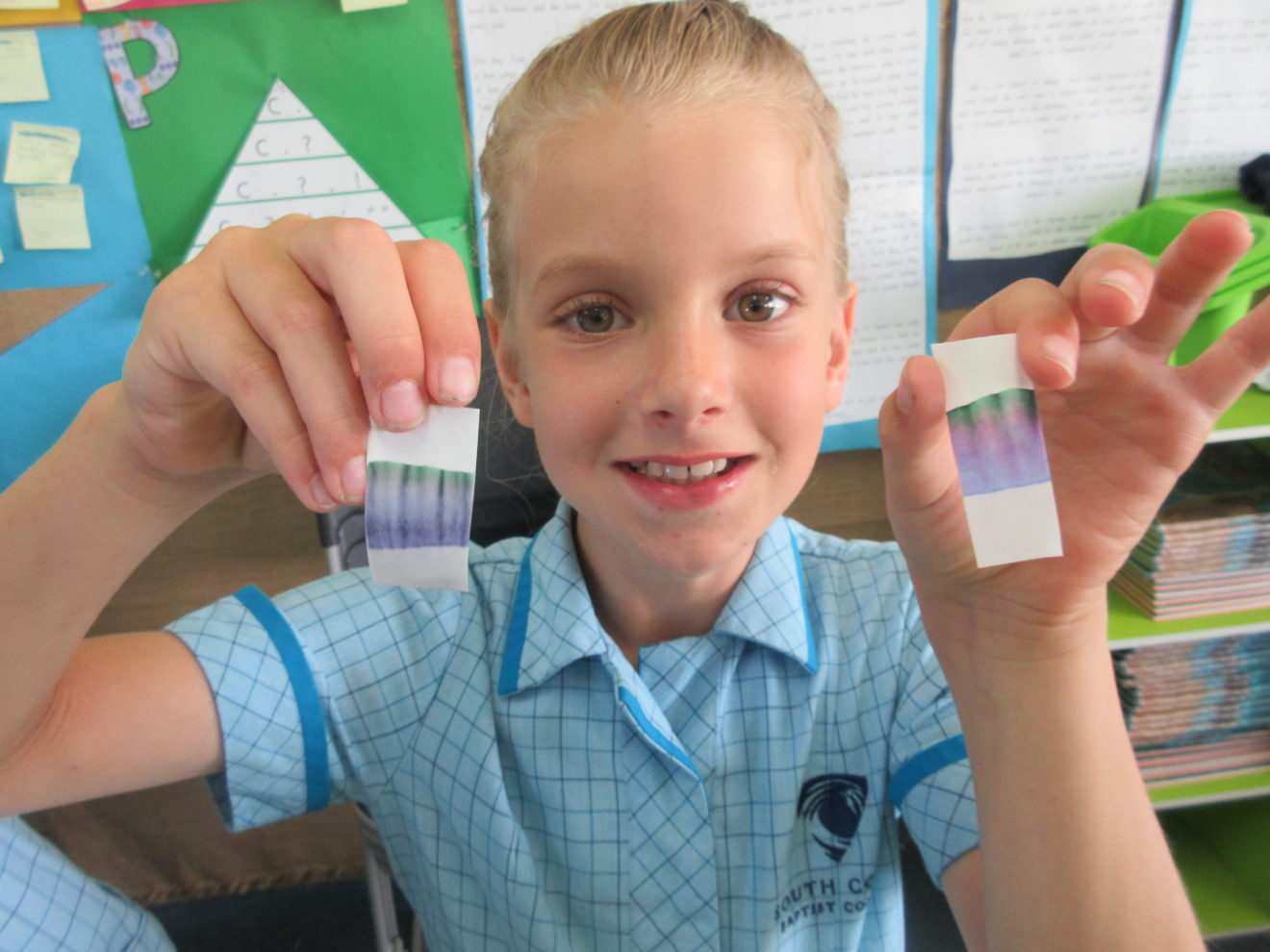 YEAR 3 SCITECH INCURSION