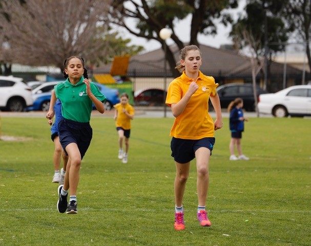 PRIMARY CROSS COUNTRY