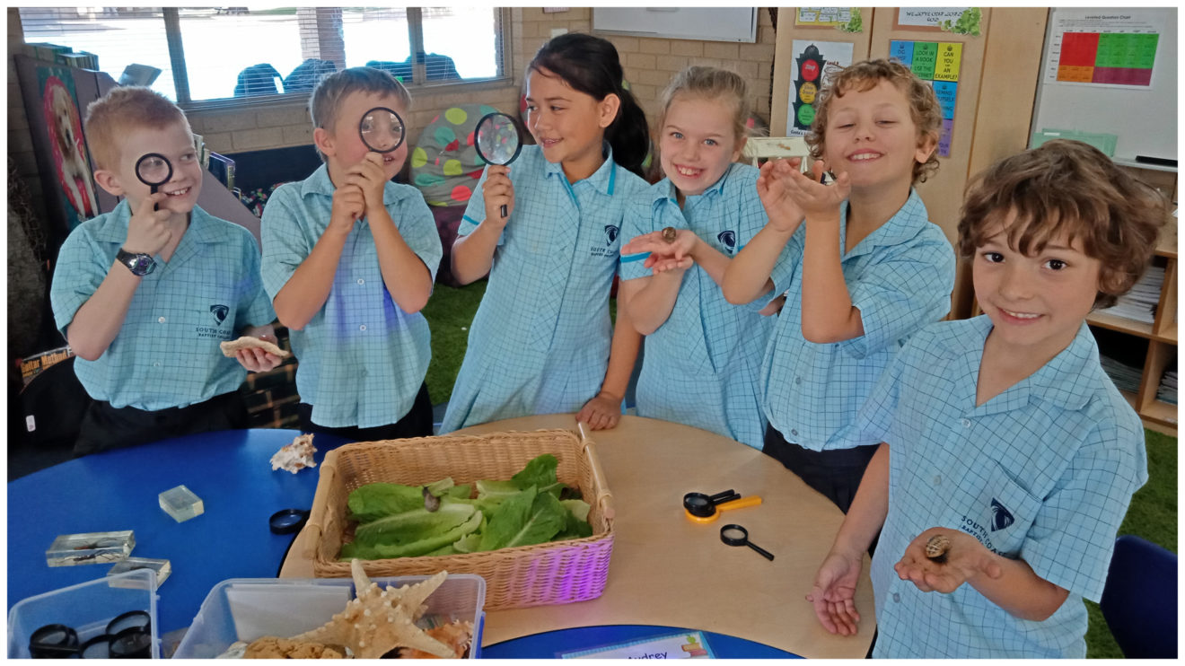 IN THE CLASSROOM – YEAR 3C