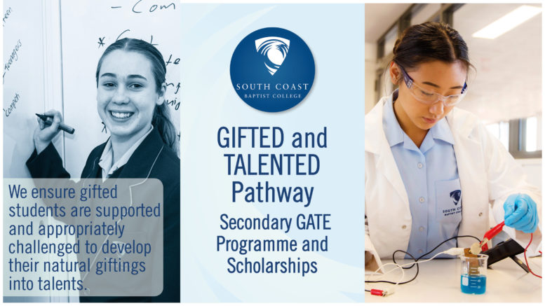 gifted and talented program